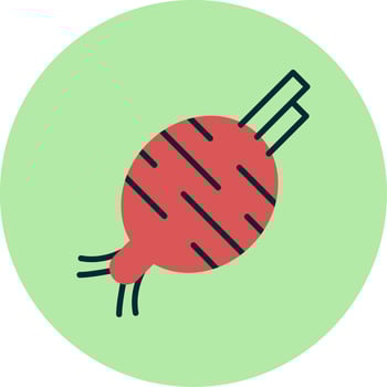 Beetroot Vector Icon