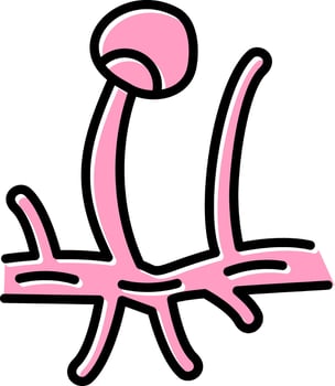 rhizopus Vector Icon