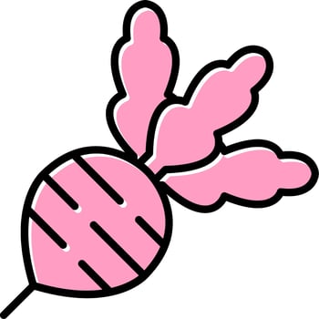 Radish Vector Icon