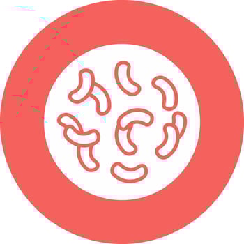Lactobacillus Vector Icon