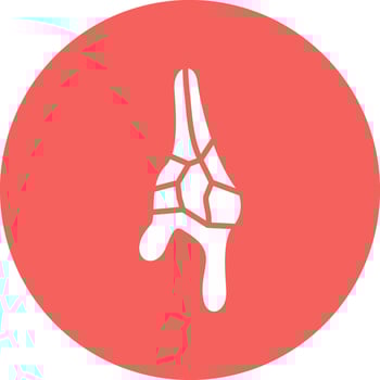 Ceratium Dinoflagellate Vector Icon