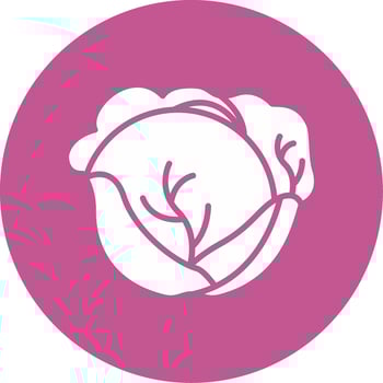 Red Cabbage Vector Icon