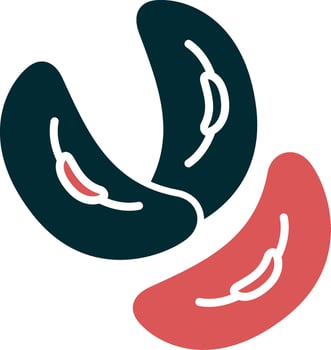 Kidney Bean Vector Icon