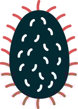 Rabies Lyssavirus Vector Icon
