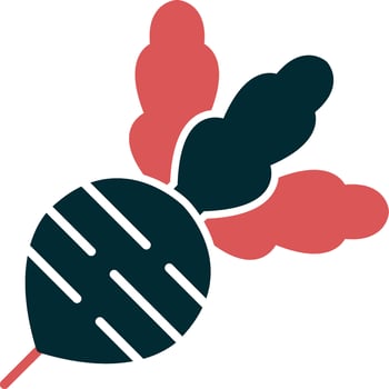 Radish Vector Icon