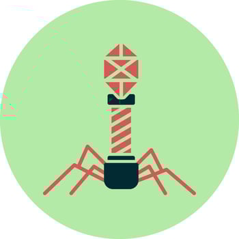 Bacteriophage Vector Icon