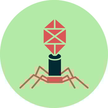 bacteriophage Vector Icon