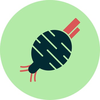 Beetroot Vector Icon