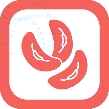 Kidney Bean Vector Icon