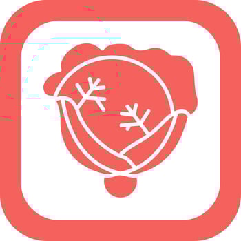 Cabbage Vector Icon