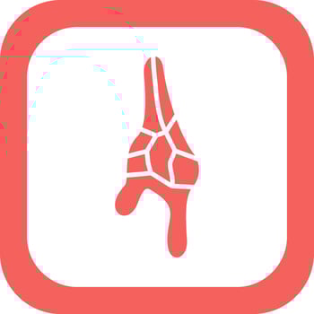 Ceratium Dinoflagellate Vector Icon