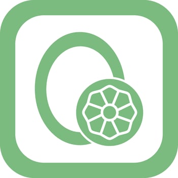 Capital O Vector Icon