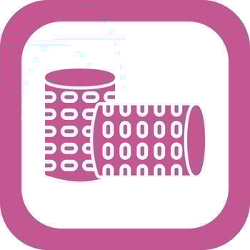 Hair Roller Vector Icon