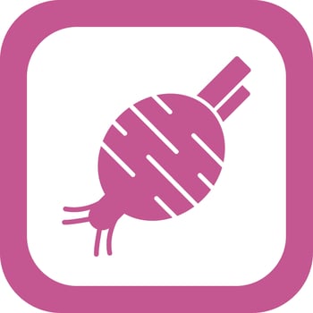 Beetroot Vector Icon
