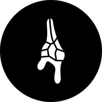 Ceratium Dinoflagellate Vector Icon