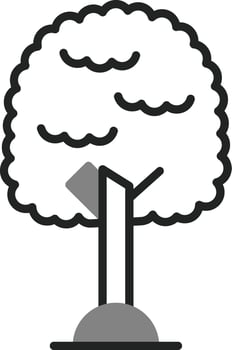 Pecan Vector Icon