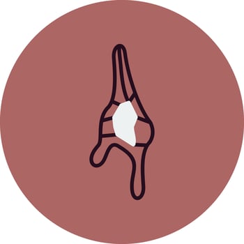 Ceratium Dinoflagellate Vector Icon