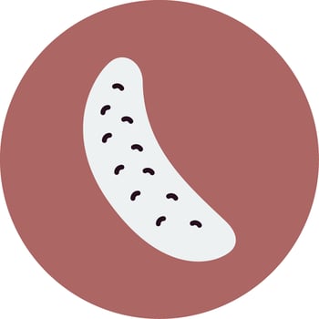 Cucumber Vector Icon