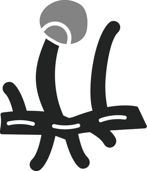 rhizopus Vector Icon