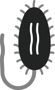 Anaplasma Vector Icon