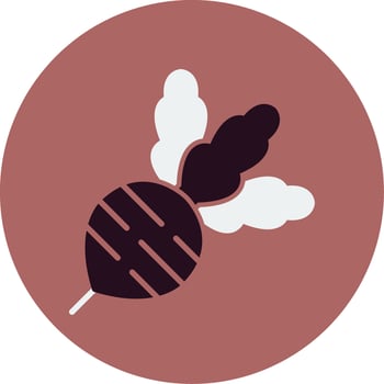Radish Vector Icon
