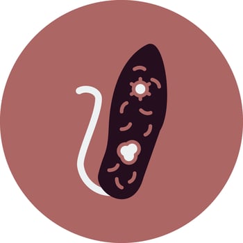 Euglenid Vector Icon