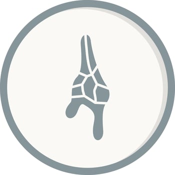 Ceratium Dinoflagellate Vector Icon