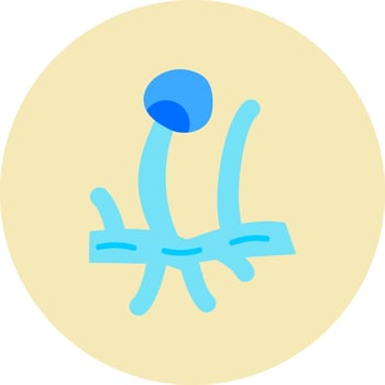 rhizopus Vector Icon