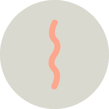 Treponema Pallidum Vector Icon