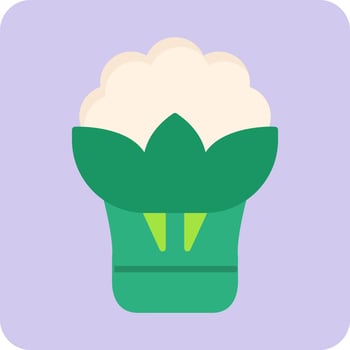 Cauliflower Vector Icon