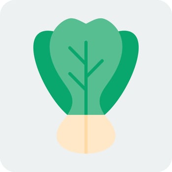 Bok Choy Vector Icon