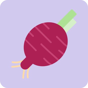 Beetroot Vector Icon