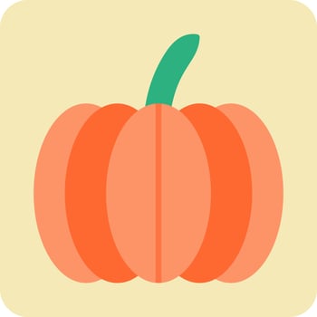 Pumpkin Vector Icon