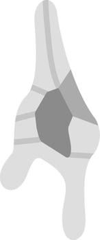Ceratium Dinoflagellate Vector Icon