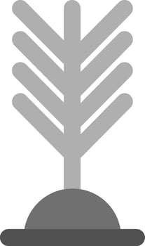 Yew Vector Icon