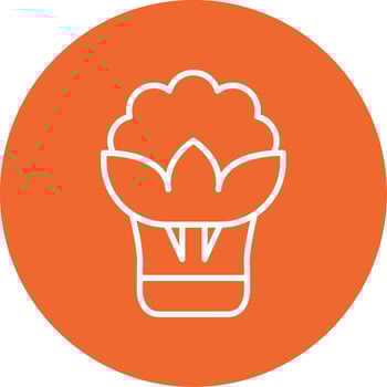 Cauliflower Vector Icon