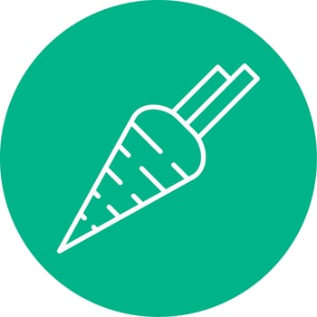 Carrot Vector Icon