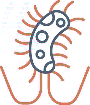 Salmonella Vector Icon