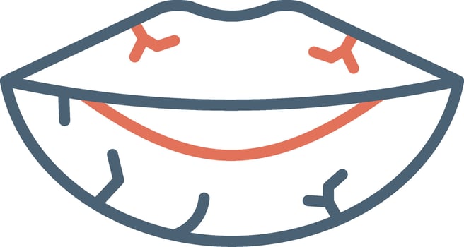 Dried Lips Vector Icon