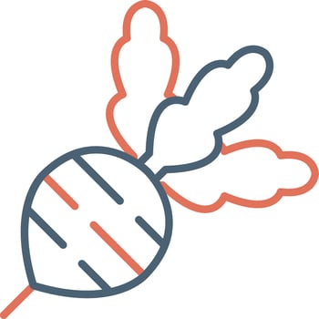 Radish Vector Icon