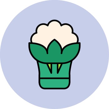 Cauliflower Vector Icon