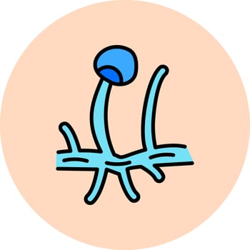 rhizopus Vector Icon
