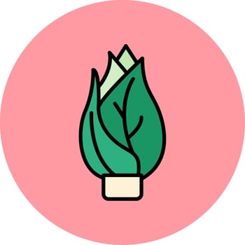 Belgian Endive Vector Icon