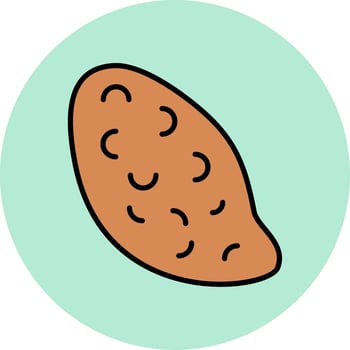 Sweet Potato Vector Icon