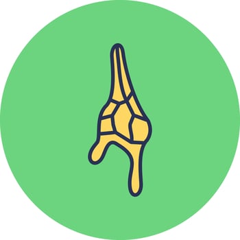 Ceratium Dinoflagellate Vector Icon