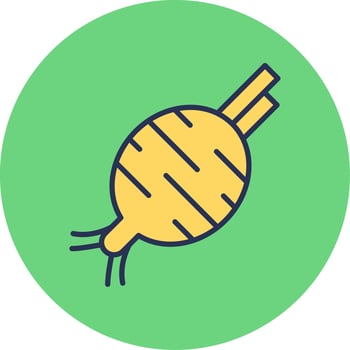Beetroot Vector Icon