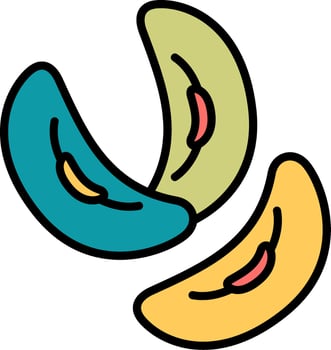 Kidney Bean Vector Icon