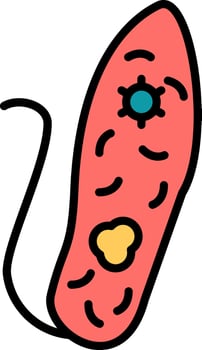 Euglenid Vector Icon