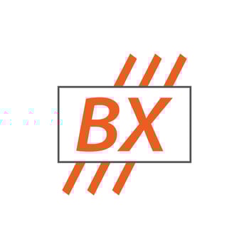 letter BX logo. B X. BX logo design vector illustration for creative company, business, industry