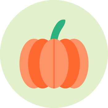 Pumpkin Vector Icon